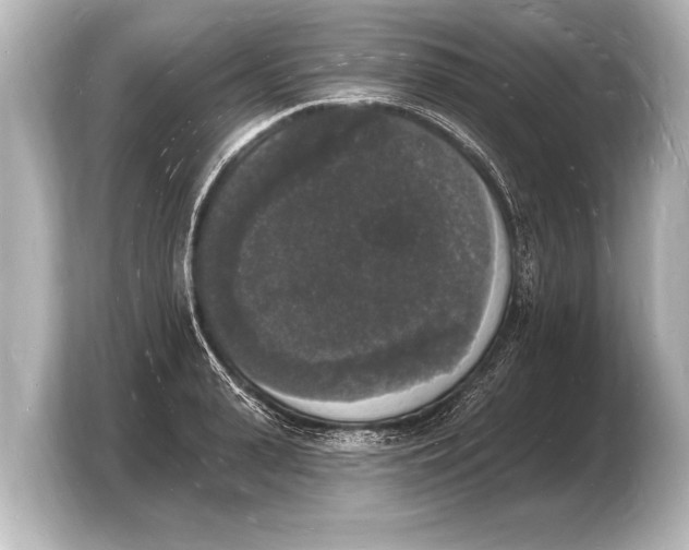 X0000103970943200810031221