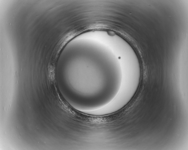 X0000103970945200810031221