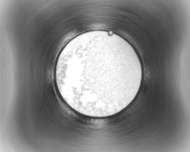 X0000103970946200810031221