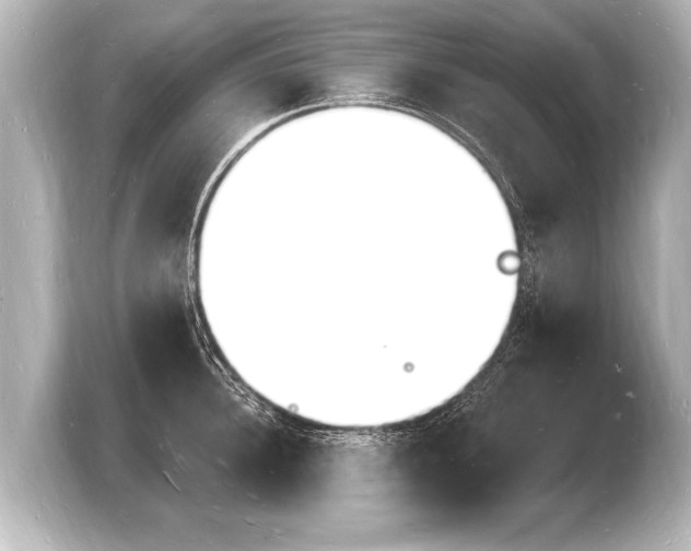 X0000103970948200810031221