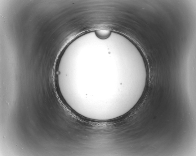 X0000103970949200810031221