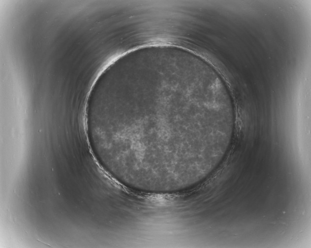 X0000103970950200810031222