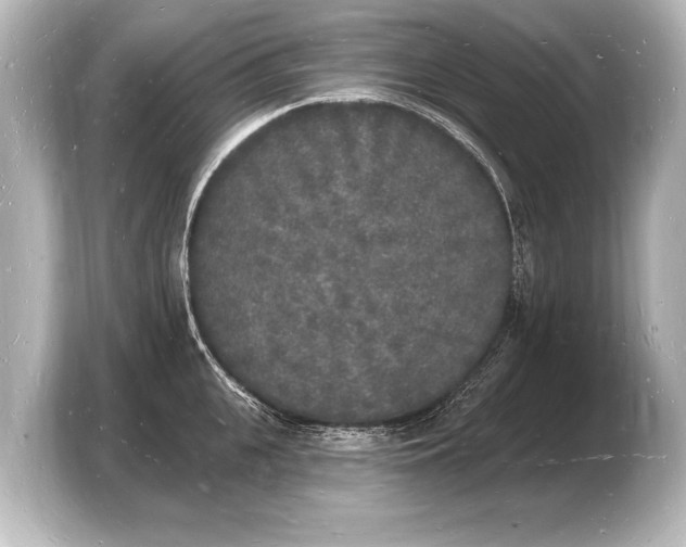 X0000103970951200810031222