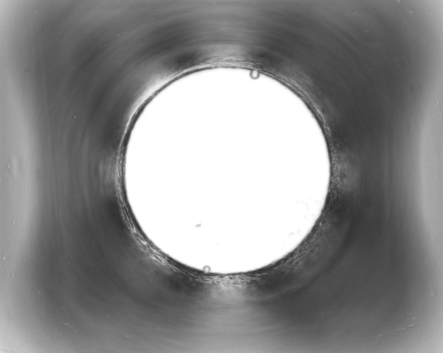 X0000103970952200810031222