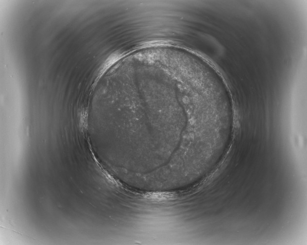 X0000103970953200810031222