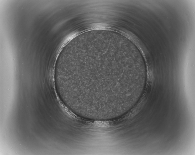 X0000103970954200810031222