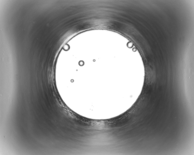 X0000103970956200810031222