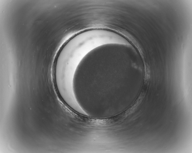 X0000103970958200810031222