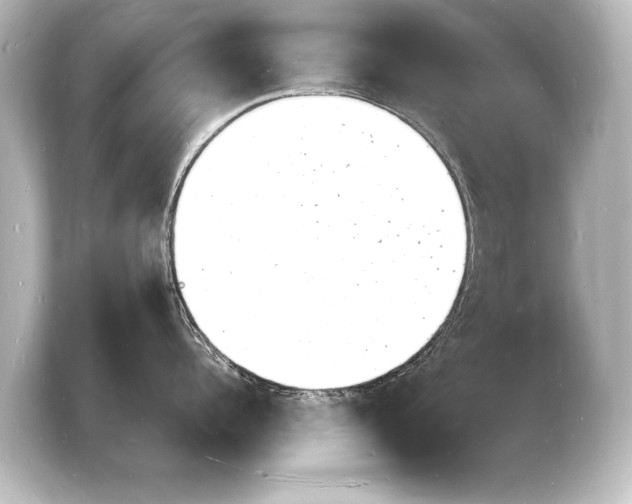 X0000103970960200810031222