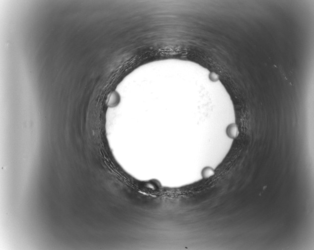 X0000103970961200810031221