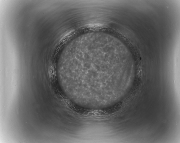 X0000103970966200810031221