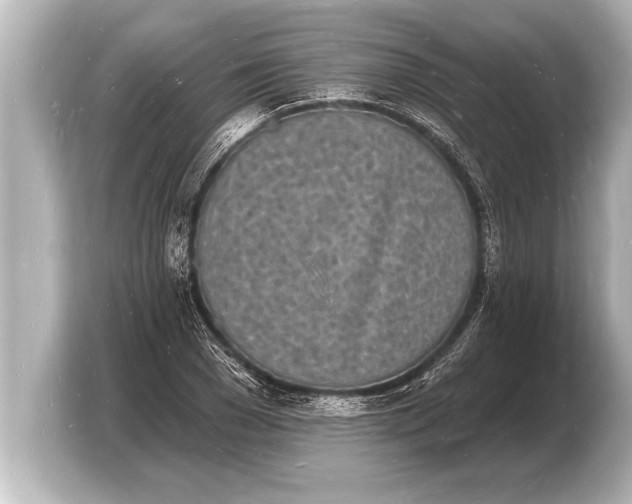 X0000103970977200810031221