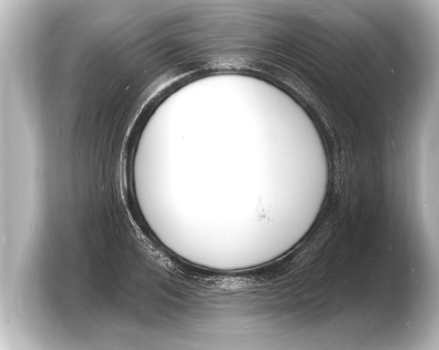 X0000103970984200810031221