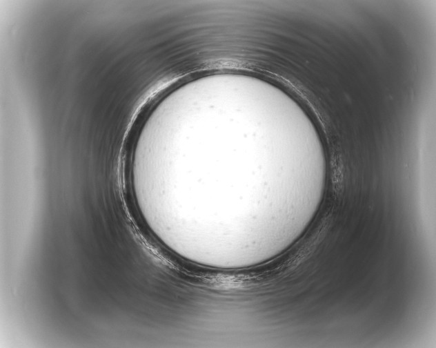 X0000103970987200810031221