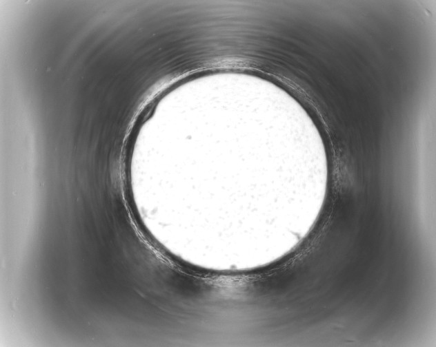 X0000103970989200810031221