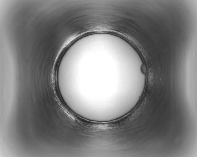 X0000103970990200810031221