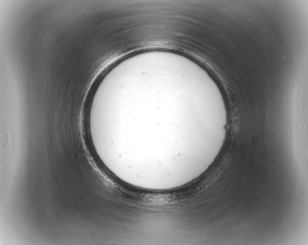 X0000103970991200810031221