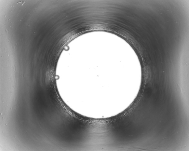 X0000103970993200810031221