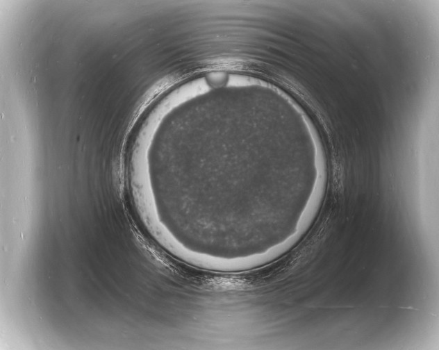 X0000103970994200810031221