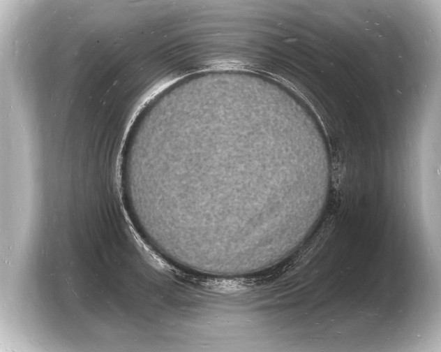 X0000103970995200810031221