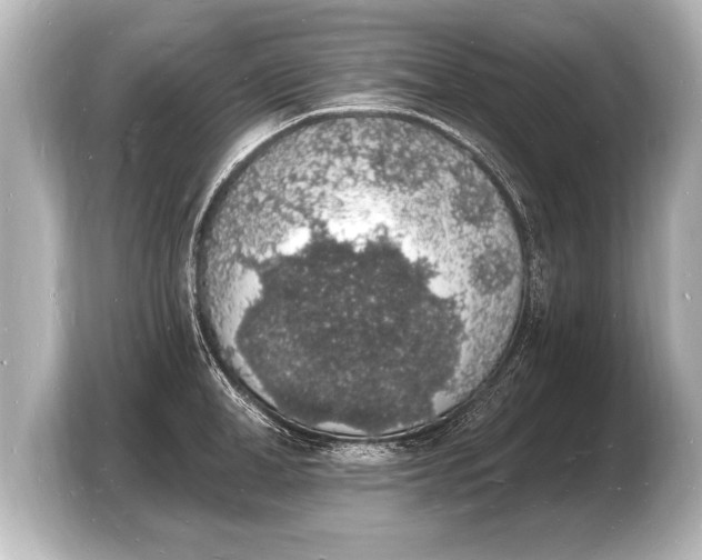 X0000103970998200810031221