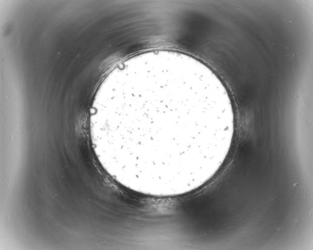 X0000103971001200810031220