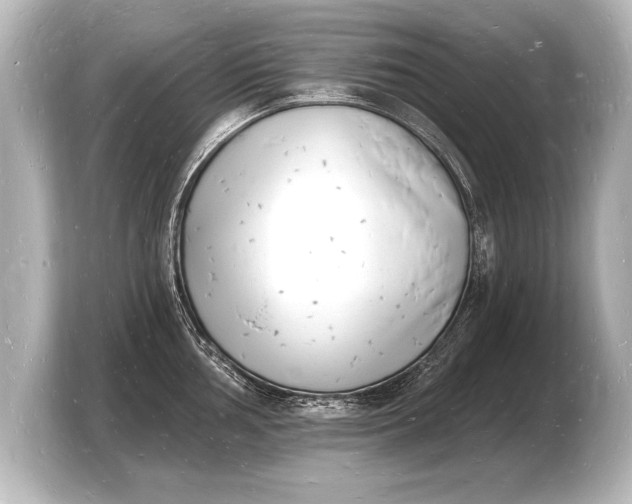 X0000103971002200810031220