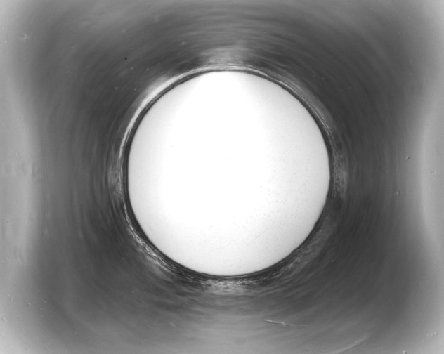 X0000103971004200810031220