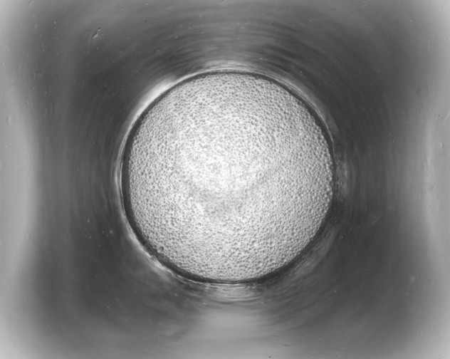 X0000103971007200810031220