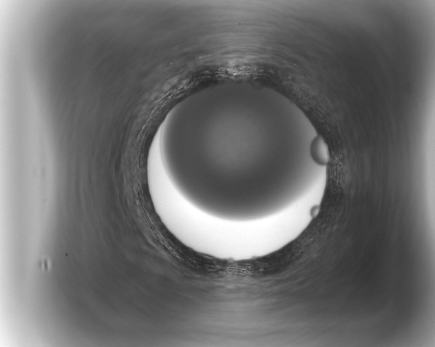 X0000103971009200810031220