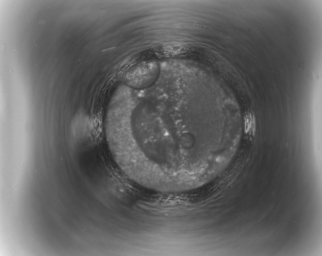 X0000103971011200810031220