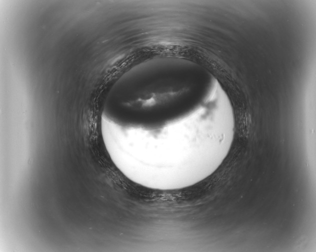 X0000103971013200810031220