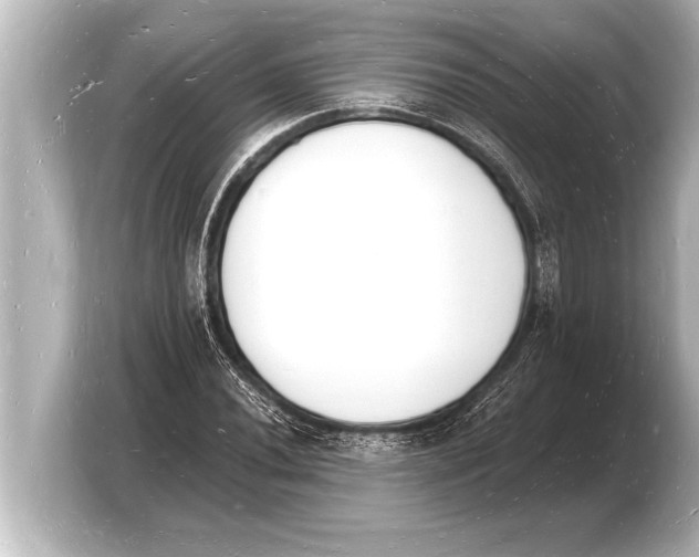 X0000103971020200810031220