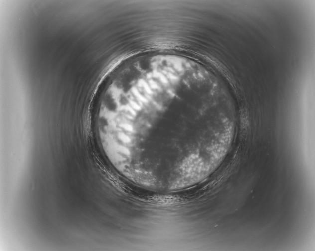 X0000103971023200810031220