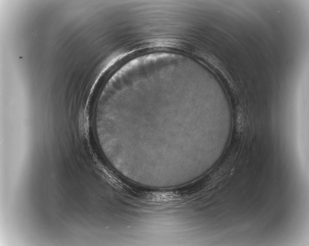 X0000103971024200810031220