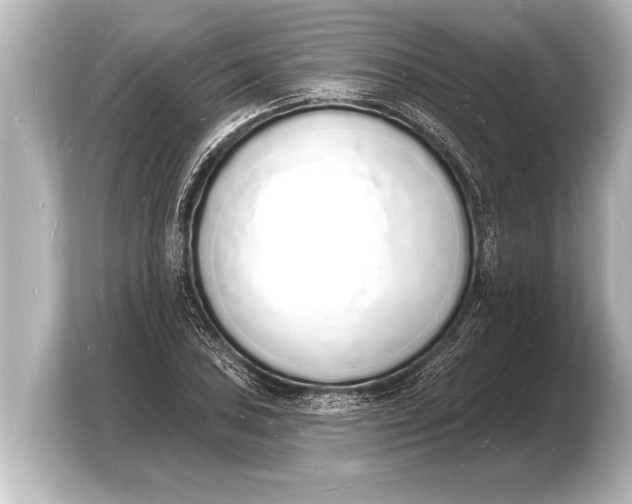 X0000103971027200810031220