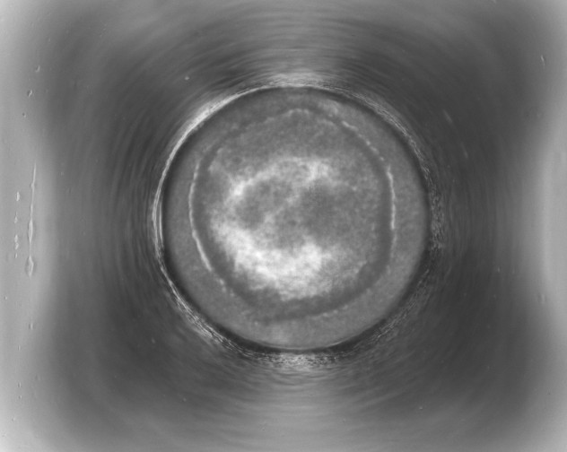 X0000103971032200810031220