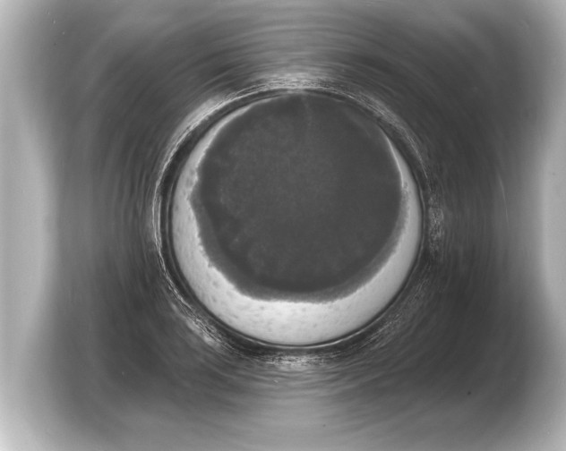 X0000103971035200810031220