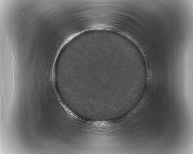 X0000103971037200810031220