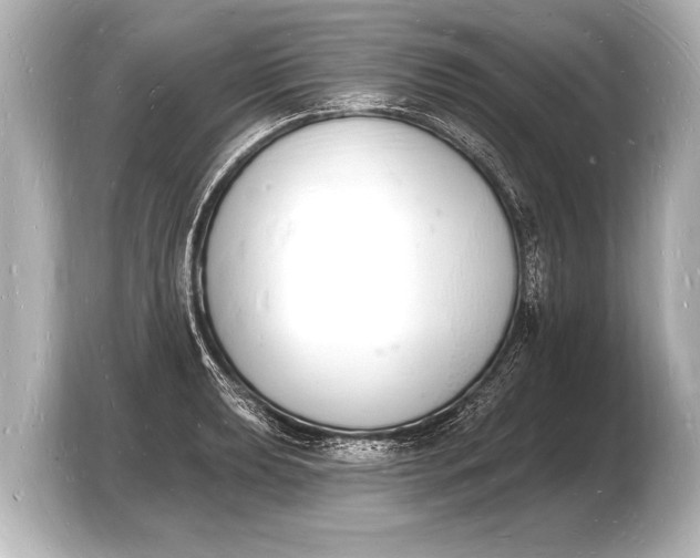 X0000103971039200810031220