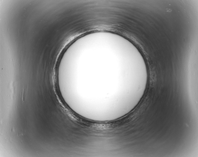 X0000103971040200810031220