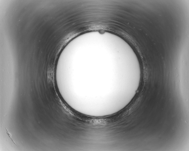 X0000103971041200810031220