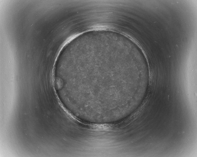 X0000103971045200810031220