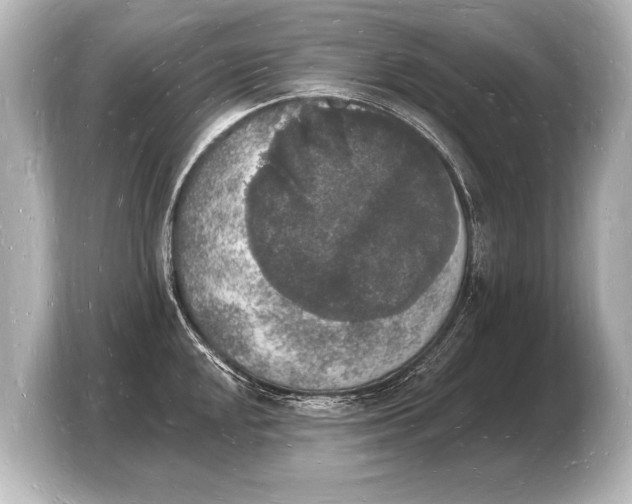 X0000103971048200810031220