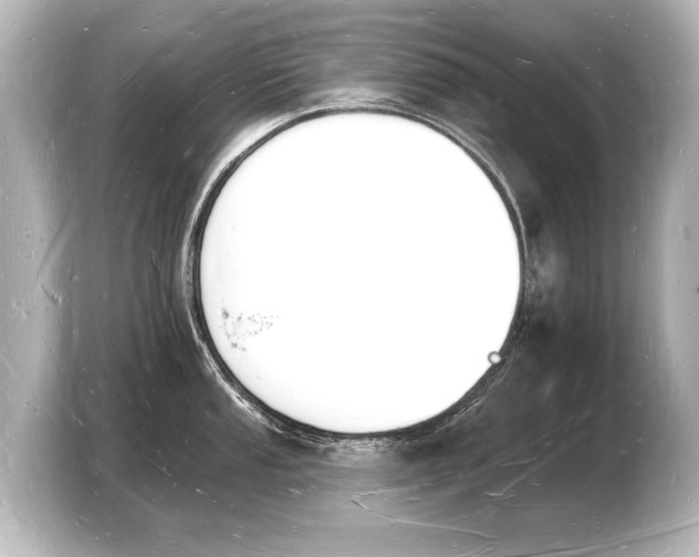 X0000103971053200810031220