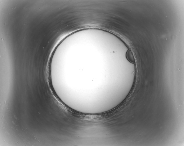 X0000103971056200810031220