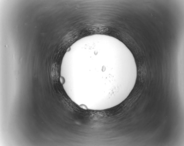 X0000103971058200810031220