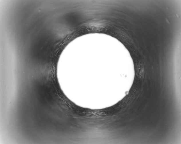 X0000103971061200810031220