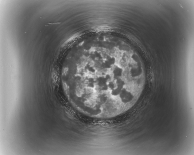 X0000103971063200810031220