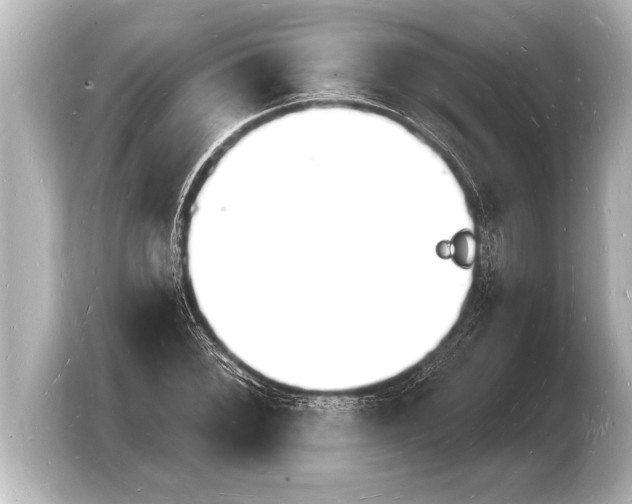 X0000103971068200810031220